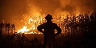 Feux de forêt : comment une structure nationale pourrait aider à mieux les gérer