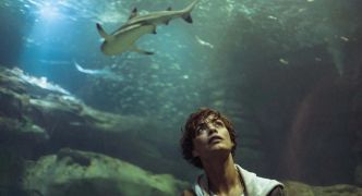 "Sous la Seine”est le film le plus regardé sur les plateformes en France en 2024