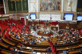 Au Cese, c'est "2 500 euros pour 4 jours de travail" : ces "conseillers" de la République épinglés dans un rapport