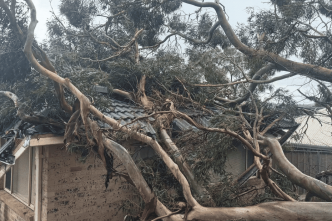 Qu'est-ce que le "bomb cyclone" qui a touché la côte Est de l'Australie ?