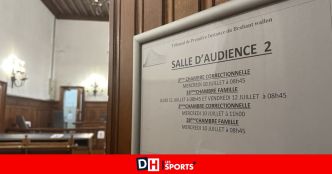 À Braine-l'Alleud, une femme frappée par son ex, avec qui elle doit toujours vivre pour raisons économiques : le Brainoie condamné