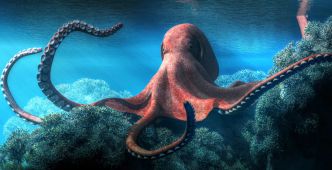 Krackan Point 2 se profile pour les machines milieu de gamme