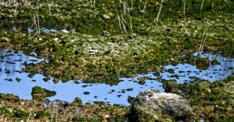 Franche-Comté. « Un déficit de pluie de 25 à 50 % » : le Doubs passe en alerte sécheresse