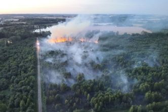 EN IMAGES. Dix hectares de forêt partent en fumée