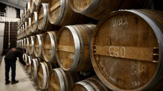 Une issue "moins défavorable": des producteurs de cognac vont échapper aux taxes chinoises