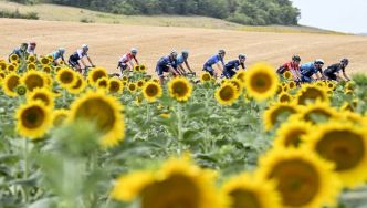 Tour de France 2025 : Grand Départ dans le Nord, favoris, étapes clés, ce qu'il faut savoir de la 112e édition