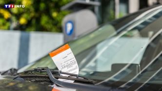 Peut-on être sanctionné plusieurs fois le même jour sur une place de stationnement payant ? Le 13H à vos côtés | TF1 INFO