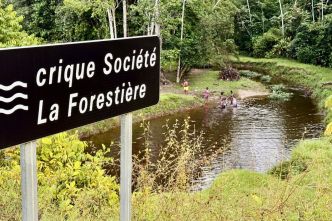 Crique Société La Forestière à Apatou : un coin prisé pour se détendre