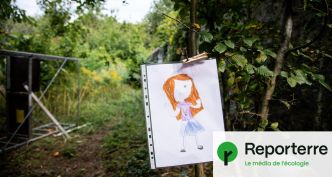 L'école dehors pour tous ? Une proposition de loi déposée