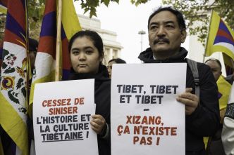Le Musée Guimet accusé d'invisibiliser le Tibet par quatre associations