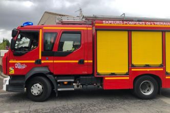 Un incendie éclate dans une pinède : une centaine de pompiers mobilisés, 4 Canadair en renfort