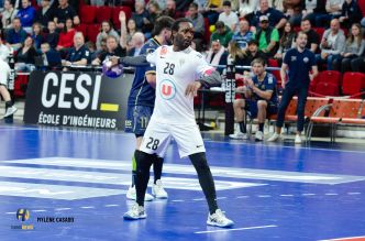 Proligue | Le club d’Angers à nouveau repêché par la LNH