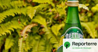 Perrier toujours en sursis malgré l'annonce du retrait des filtres illégaux