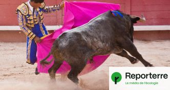 La corrida, un spectacle dépendant des aides publiques