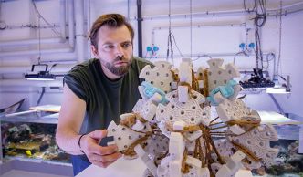 Quand la dentelle sauve les coraux : l'incroyable projet artistique et scientifique de Corail Artefact