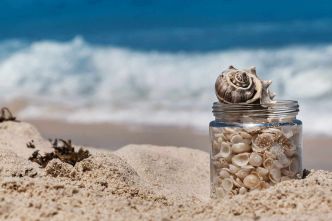 Ce geste anodin que vous faites à la plage met la nature en péril et peut vous coûter cher !
