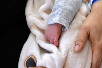 Démographie : la baisse de la natalité n'est pas une fatalité, selon l'Académie de médecine