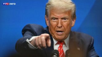 Anniversaire des États-Unis : en 2026, Donald Trump veut le célébrer avec… un combat de MMA à la Maison-Blanche | TF1 INFO