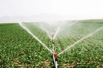 Lot-et-Garonne : découvrez si vous êtes concerné par les restrictions d'eau