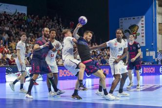 Handball. Pour l'heure, seuls 14 clubs dont Pau Billère sont autorisés à évoluer en Proligue l'an prochain