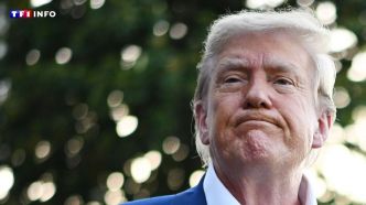 Donald Trump fait un rare aveu d'impuissance sur une trêve en Ukraine : autopsie d'un échec de plus en plus annoncé | TF1 INFO