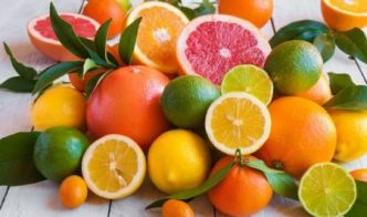 Agrumes : l'Afrique du Sud veut conquérir plus de parts de marché en Inde