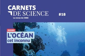 « Carnets de science » brasse large
