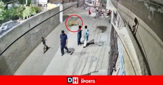 Les images effrayantes d'un lion en cavale qui attaque une femme et deux enfants au Pakistan (VIDEO)