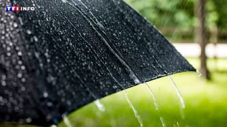 Il n'y a jamais eu autant d'alertes pluie-inondation en France qu'en 2024 | TF1 INFO