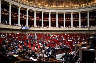 Dissolution : Macron peut-il à nouveau dissoudre l'Assemblée nationale ? Il s'explique