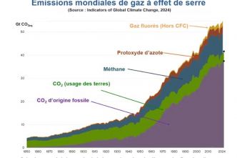Le climat toujours dans le rouge : trois leviers d'action