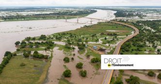Effets du changement climatique : la Cour interaméricaine des droits de l'homme rend un avis marquant