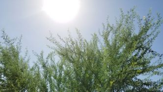Alerte canicule : 14 départements toujours en orange, les fortes chaleurs vont-elles se poursuivre tout le week-end ?