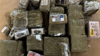Trafic de drogue : un « call-center » spécialisé dans le cannabis démantelé en Île-de-France