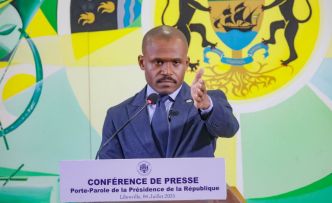 Affaire Sylvia et Nourredin Bongo contre l'Etat gabonais : une « stratégie de diversion et  de brouillage judiciaire », selon la Présidence