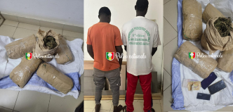 Démantèlement d'un réseau de trafic de drogue à Yarakh : deux individus arrêtés avec 5 kg de chanvre indien