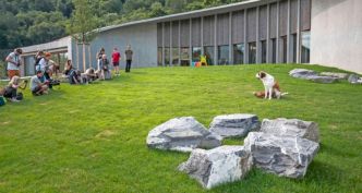 Suisse : au royaume du Saint-Bernard