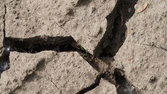 "On dirait que ça tremble tout le temps" : 900 séismes recensés en deux semaines, le quotidien infernal des habitants d'une chaîne d'îles japonaises