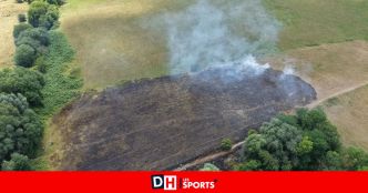 Une prairie située à côté du parc du Scheutbos en feu cet après-midi à Molenbeek : 12 000 m2 de végétation partent en fumée (PHOTOS)