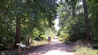 « Il m'a fait penser à Scream » : un mystérieux agresseur à la hachette sévit en forêt de Sénart