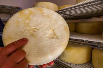 Pour l'AOP Ossau-Iraty, le projet de nouvelle « recette » retoqué
