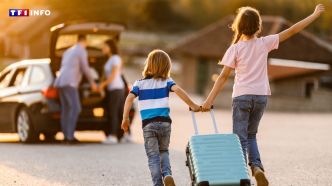 Quel est le meilleur moment pour prendre la route des vacances cet été ? Voici les conseils de Bison Futé | TF1 INFO