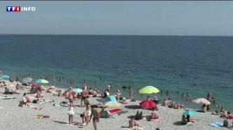 Canicule : à quelles températures s'attendre cet été ? Les prévisions d'Évelyne Dhéliat | TF1 INFO