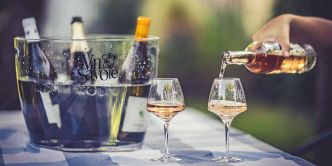 Vins de Savoie : notre sélection de l'été 2025