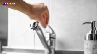 Plusieurs communes privées d'eau du robinet, des taux anormaux de "polluants éternels" découverts | TF1 INFO