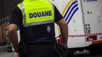 De la cocaïne cachée dans des croquettes pour chien : l'étonnante saisie des douanes à un péage