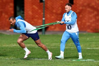 Rugby : le XV de France contraint de miser sur des "bleus" face aux All Blacks