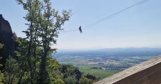 Insolite. Coupe du monde de vitesse de highline à Ribeauvillé : courir au-dessus du vide