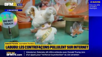 Poupées Labubu: les figurines au cœur d'une arnaque cyber internationale