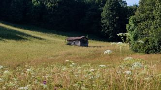 Qui sont ces deux « enfants fantômes » retrouvés dans une ferme isolée ?